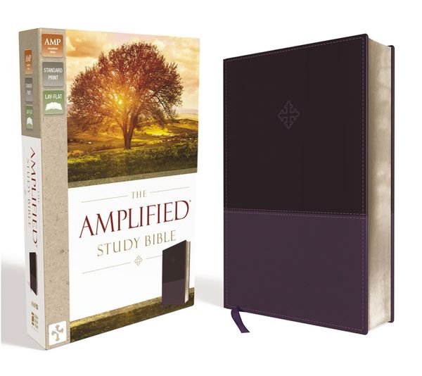 Cover Art for 9780310446521, Amplified Study Bible, Imitation Leather, Purple by Zondervan