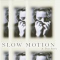 Cover Art for 9780307828002, Slow Motion by Dani Shapiro