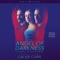 Cover Art for 9781442362482, The Angel of Darkness by Caleb Carr