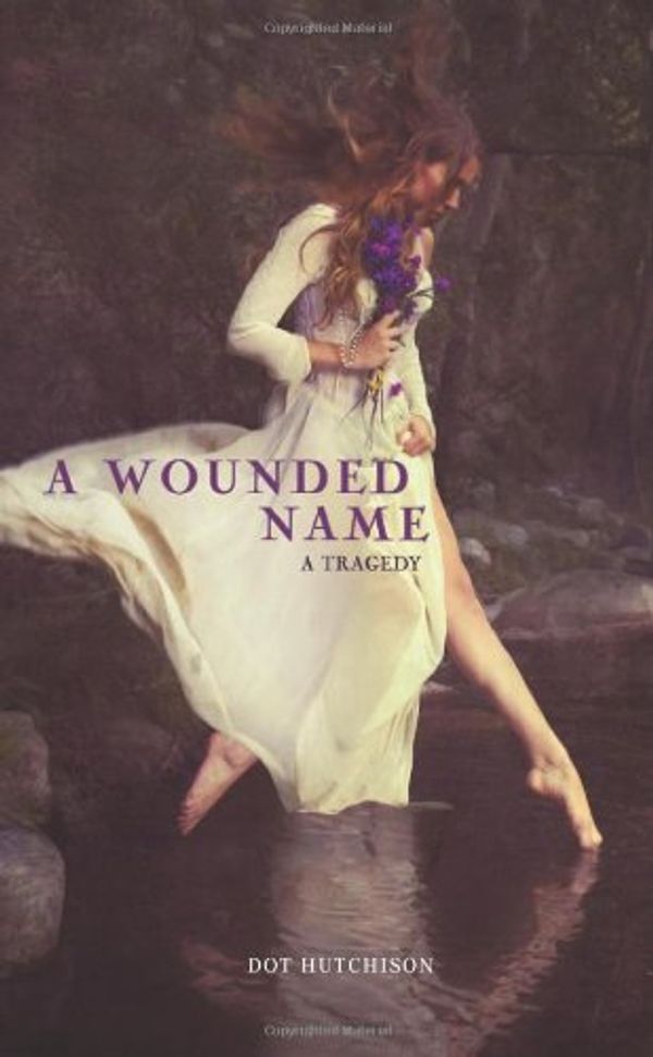 Cover Art for 9781467708876, A Wounded Name by Dot Hutchison