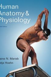 Cover Art for 9780805359107, Human Anatomy and Physiology by Elaine N. Marieb, Katja Hoehn