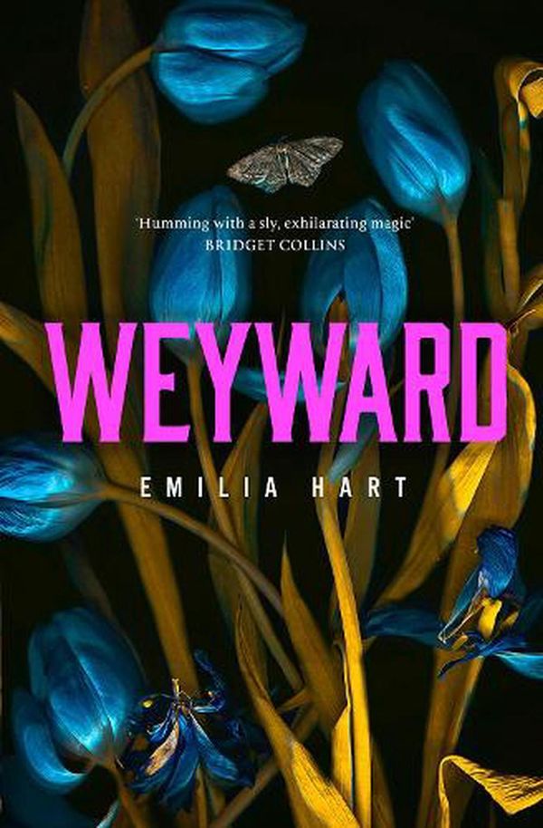 Cover Art for 9780008499082, Weyward by Emilia Hart