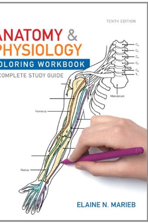 Cover Art for 9780805359039, Anatomy and Physiology: Workbook by Elaine N. Marieb