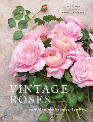 Cover Art for 9781911216551, Vintage Roses by Jane Eastoe