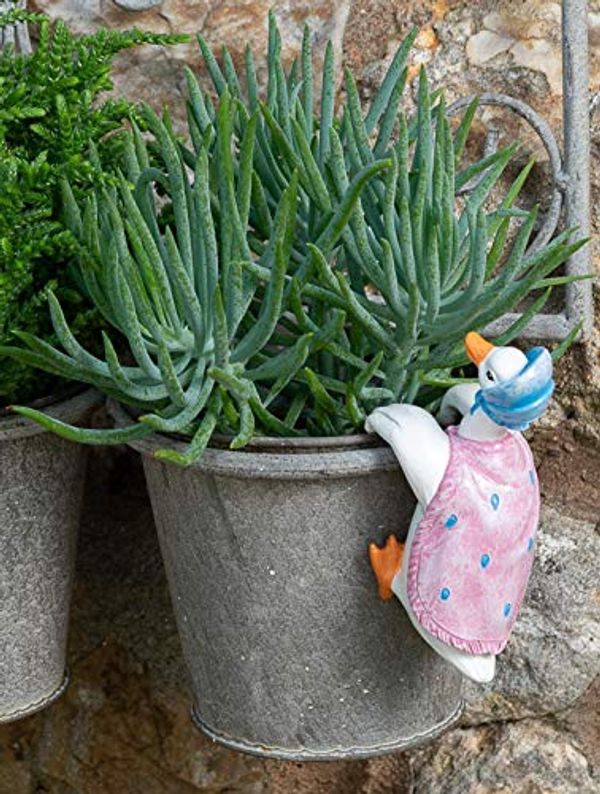 Cover Art for 5060733452427, Pot Buddies Beatrix Potter Jemima Puddle-Duck Figure Plant Pot Hanger - Handmade Garden Ornament - Decorative Flower Planter Figurine by Unknown