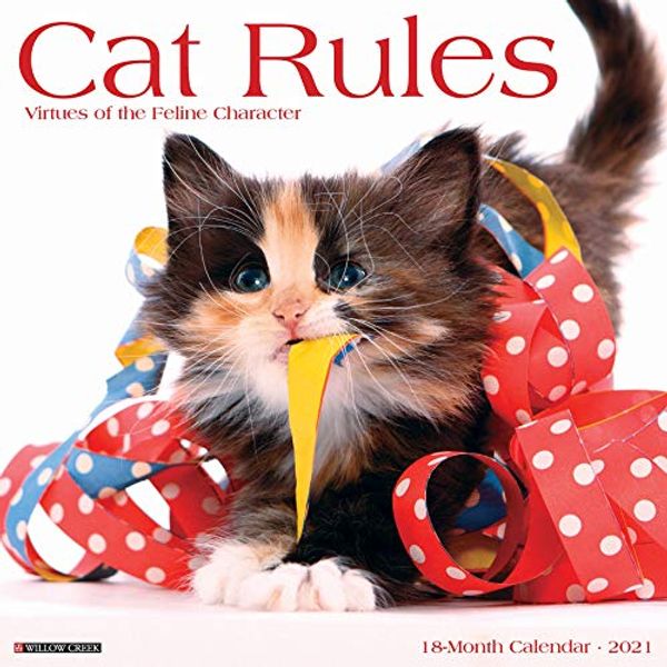 Cover Art for 9781549211102, Cat Rules 2021 Wall Calendar by Willow Creek Press