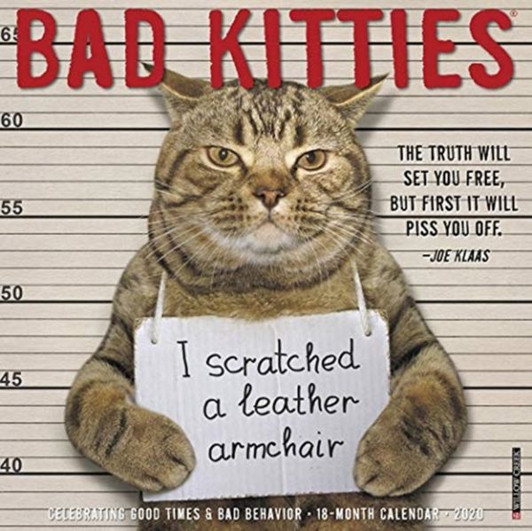 Cover Art for 9781549205286, Bad Kitties 2020 Wall Calendar by Willow Creek Press