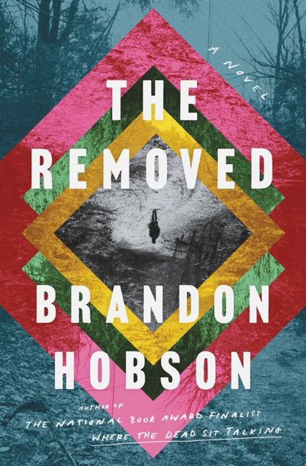 Cover Art for 9780062997562, The Removed by Brandon Hobson