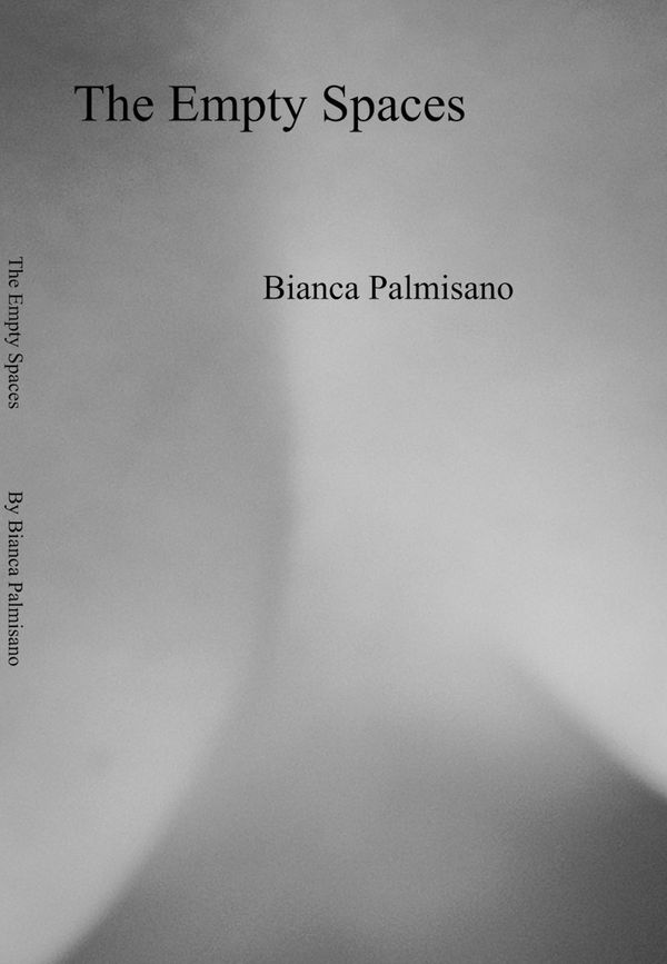 Cover Art for 9781941771006, The Empty Spaces by Bianca Palmisano