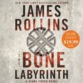 Cover Art for 9780062562333, The Bone Labyrinth by James Rollins
