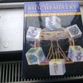 Cover Art for 9780471586500, Fundamentals of Biochemistry by Donald Voet, Judith G. Voet, Charlotte W. Pratt