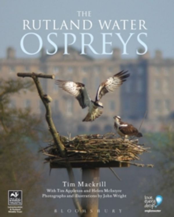 Cover Art for 9781408174142, The Rutland Water Ospreys by Tim Mackrill