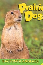 Cover Art for 9781616906245, Prairie Dogs by Megan Kopp