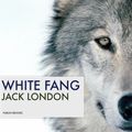 Cover Art for 1230000132969, White Fang by Jack London