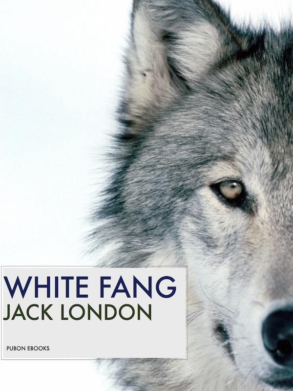 Cover Art for 1230000132969, White Fang by Jack London