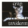 Cover Art for B00K6H0YJ4, Crap Taxidermy by Kat Su