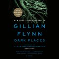 Cover Art for 9780739383575, Dark Places by Gillian Flynn