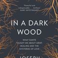 Cover Art for 9780008100636, In a Dark Wood: On Dante and Mysteries of Love by Joseph Luzzi