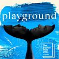 Cover Art for 9781529154320, Playground by Richard Powers