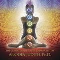 Cover Art for 9780738715957, Wheels of Life by Anodea Judith