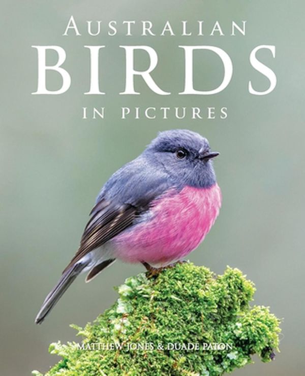 Cover Art for 9781925546347, Australian Birds in Pictures by Matthew Jones, Duade Paton