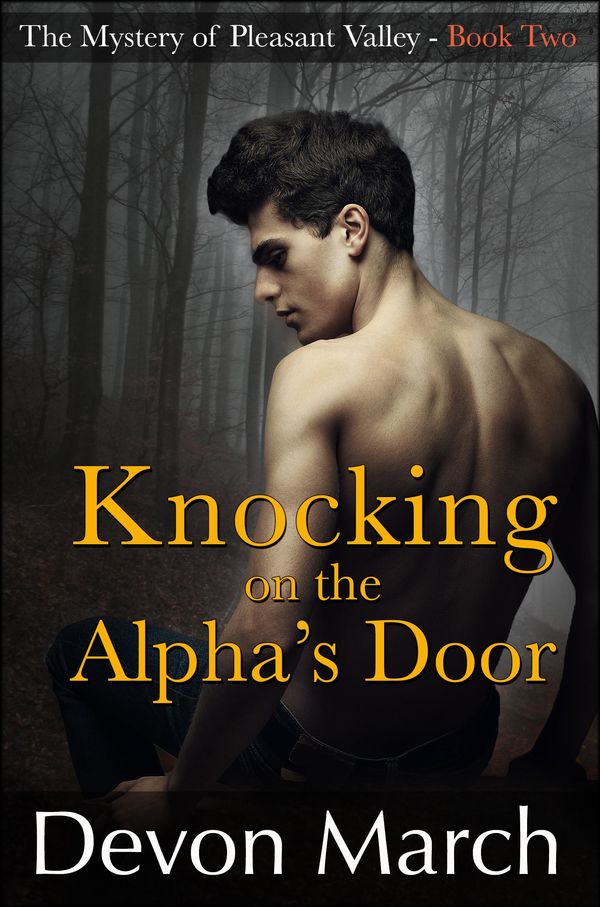Cover Art for 9781310149870, Knocking on the Alpha's Door (The Mystery of Pleasant Valley - Book 2) by Unknown