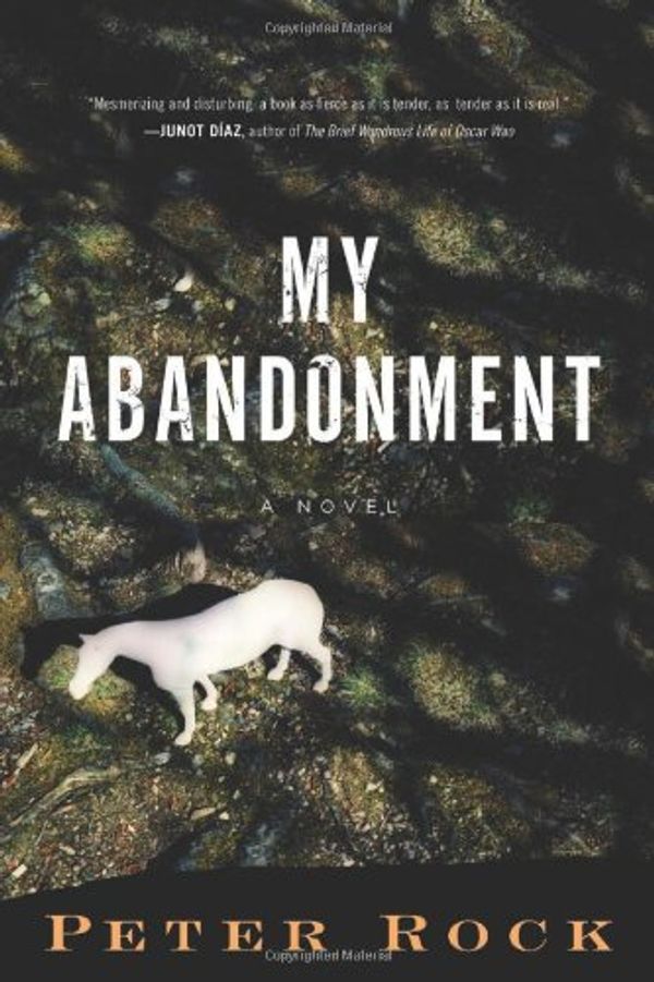 Cover Art for 9780151014149, My Abandonment by Peter Rock