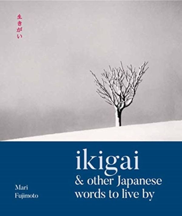 Cover Art for 9781911130888, Wabi Sabi & Other Japanese Words to Live By by Dr. Mari Fujimoto