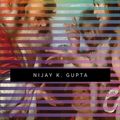 Cover Art for 9781540962713, Beginner's Guide to New Testament Studies: Understanding Key Debates by Nijay K. Gupta