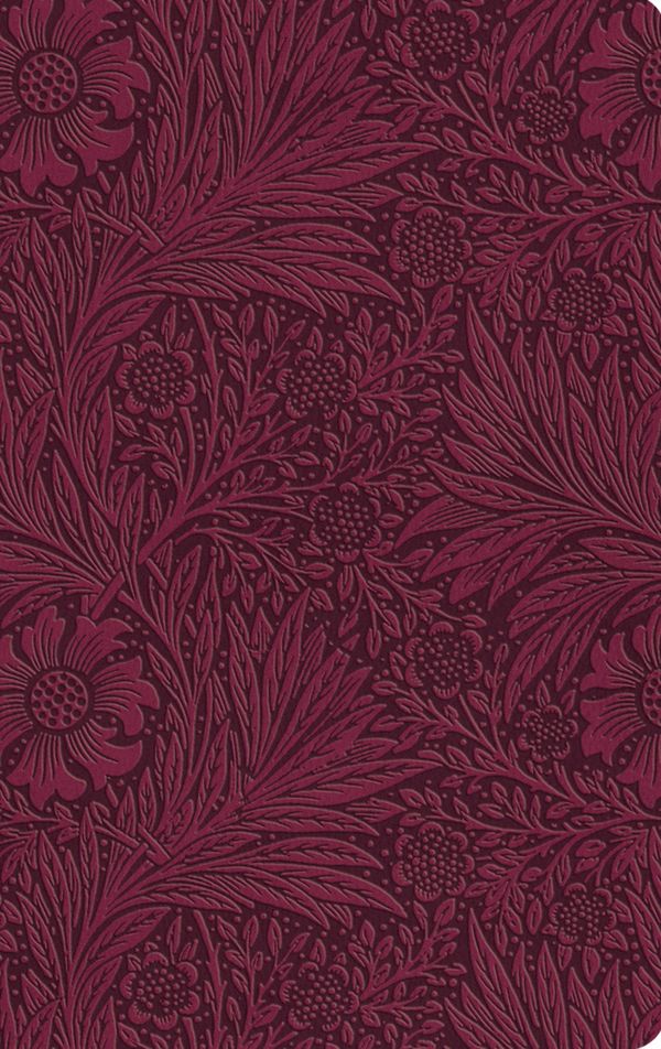 Cover Art for 9781433582509, ESV Large Print Value Thinline Bible (Trutone, Raspberry, Floral Design): Esv Value Thinline Bible Trutone, Raspberry, Floral Design by Esv Bibles by Crossway