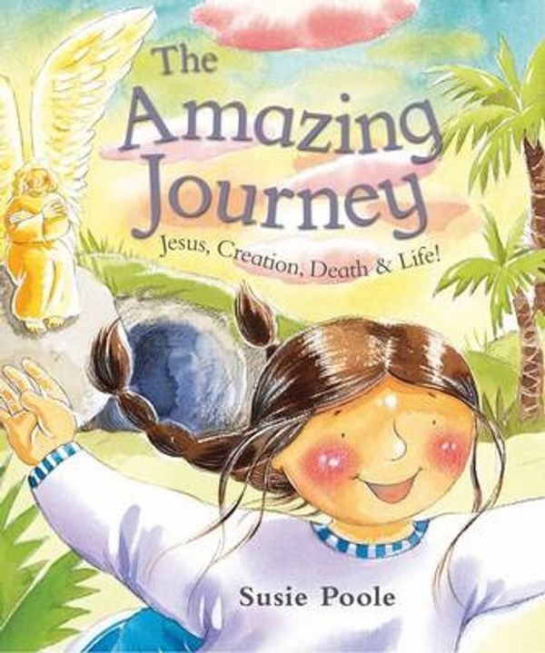 Cover Art for 9781904637424, The Amazing Journey by Susie Poole