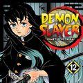 Cover Art for 9781974711123, Demon Slayer: Kimetsu No Yaiba, Vol. 12 by Koyoharu Gotouge
