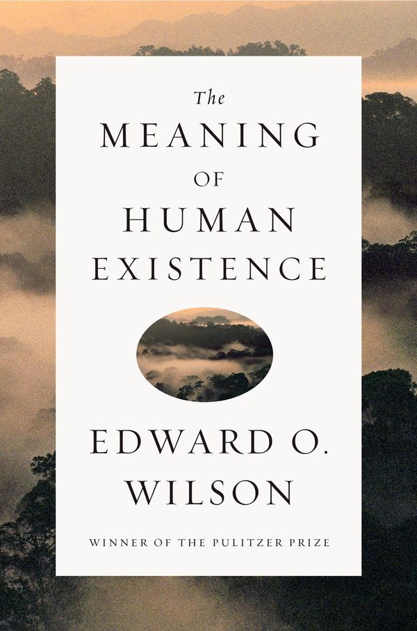 Cover Art for 9780871404800, The Meaning of Human Existence by Edward O. Wilson