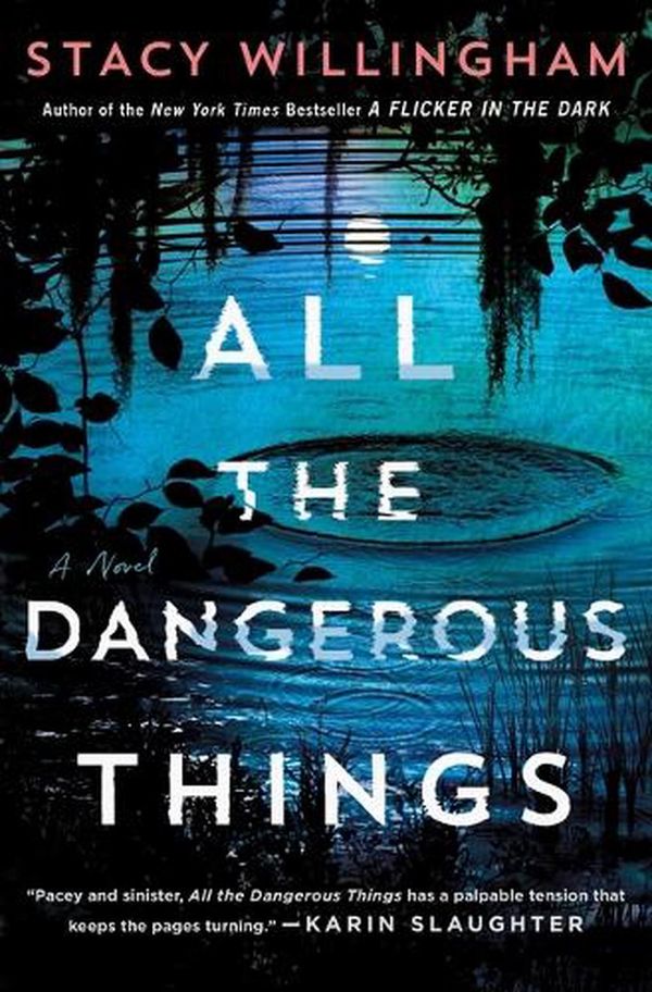 Cover Art for 9781250803856, All the Dangerous Things by Stacy Willingham