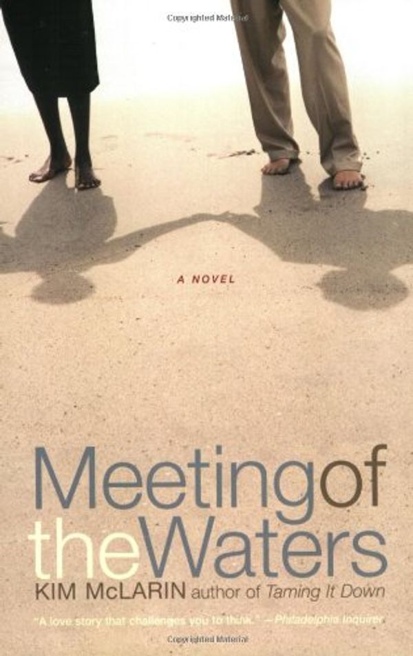Cover Art for 9780060505875, Meeting of the Waters: A Novel by Kim Mclarin