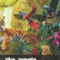 Cover Art for 9781686705991, The Jungle by Upton Sinclair