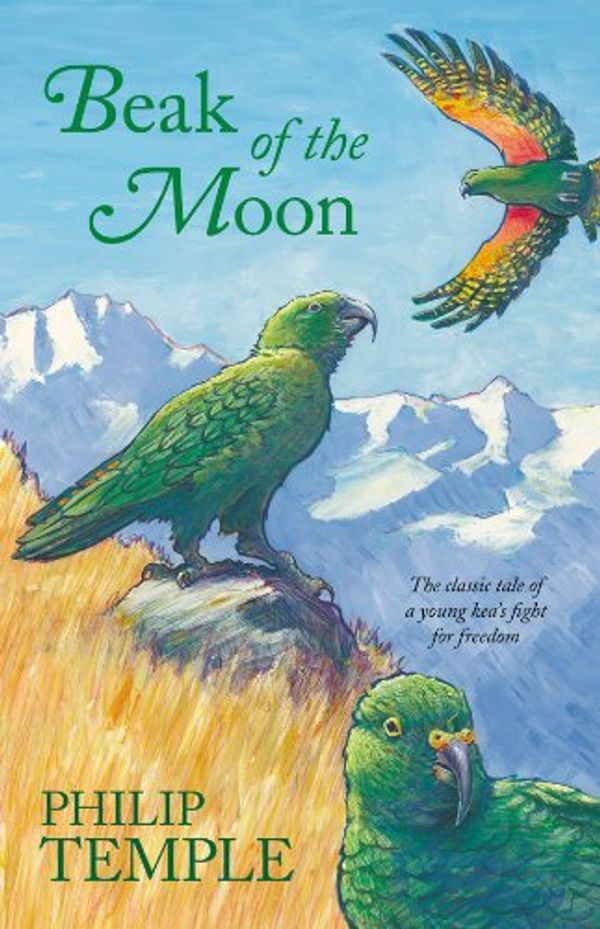 Cover Art for 9781869506773, Beak of the Moon (Paperback) by Philip Temple