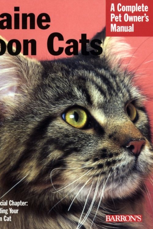 Cover Art for 9780764134029, Maine Coon Cats by Carol Daly