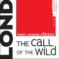 Cover Art for 9781467756440, The Call of the Wild by Jack London