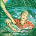 Cover Art for 9781101076286, Hardy Boys 14: The Hidden Harbor Mystery by Franklin W. Dixon