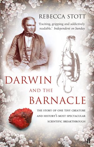 Cover Art for 9780571216093, Darwin and the Barnacle by Rebecca Stott