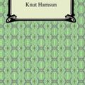 Cover Art for 9781420931259, Hunger by Knut Hamsun