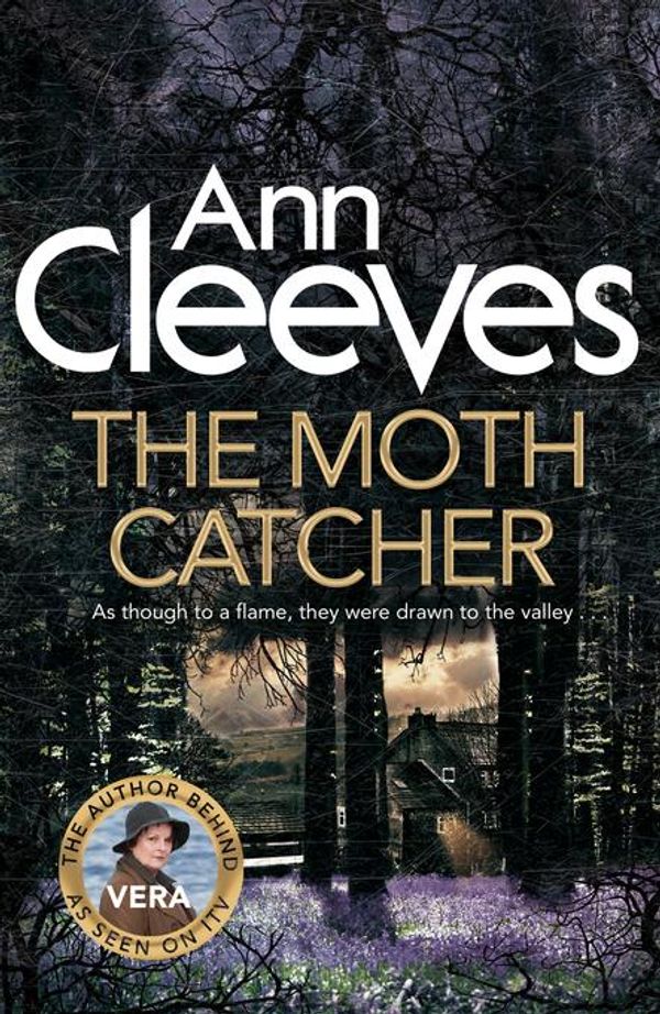 Cover Art for 9781447278313, The Moth Catcher by Ann Cleeves