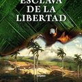 Cover Art for B0B33FDQ9D, Esclava de la libertad (Spanish Edition) by Ildefonso Falcones