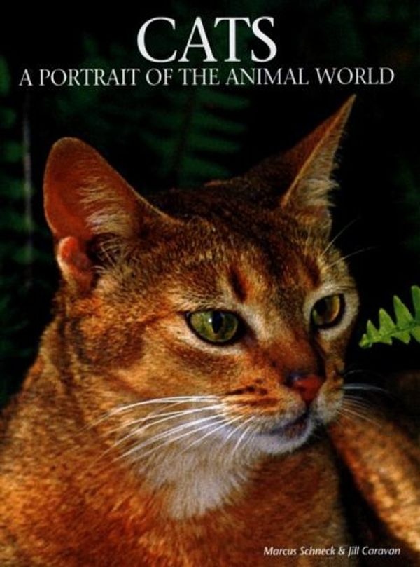 Cover Art for 9781597641159, Cats: A Portrait of the Animal World by Marcus H. Schneck, Jill Caravan