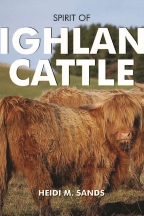 Cover Art for 9780857100542, Spirit of Highland Cattle by Heidi M. Sands