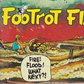 Cover Art for 9781875230334, Puppydog Footrot Flats 10 by Murray Ball