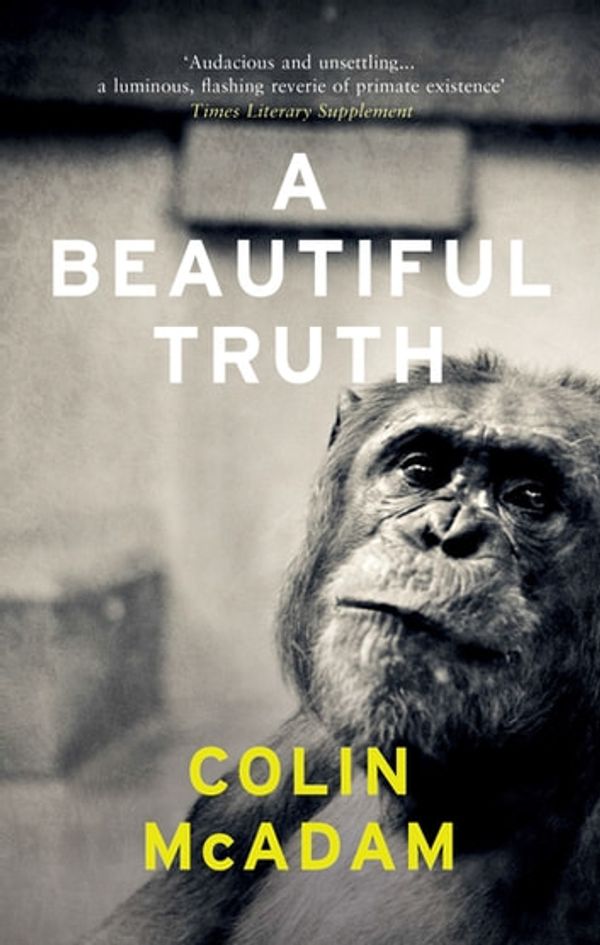 Cover Art for 9781847088499, A Beautiful Truth by Colin McAdam