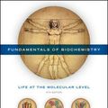 Cover Art for 9781118918401, Fundamentals of Biochemistry: Life at the Molecular Level by Donald Voet, Judith G. Voet, Charlotte W. Pratt