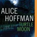 Cover Art for 9781501284441, Turtle Moon by Alice Hoffman